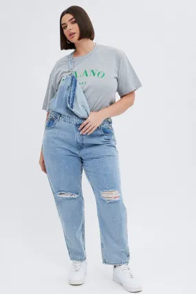 Denim Overall Denim