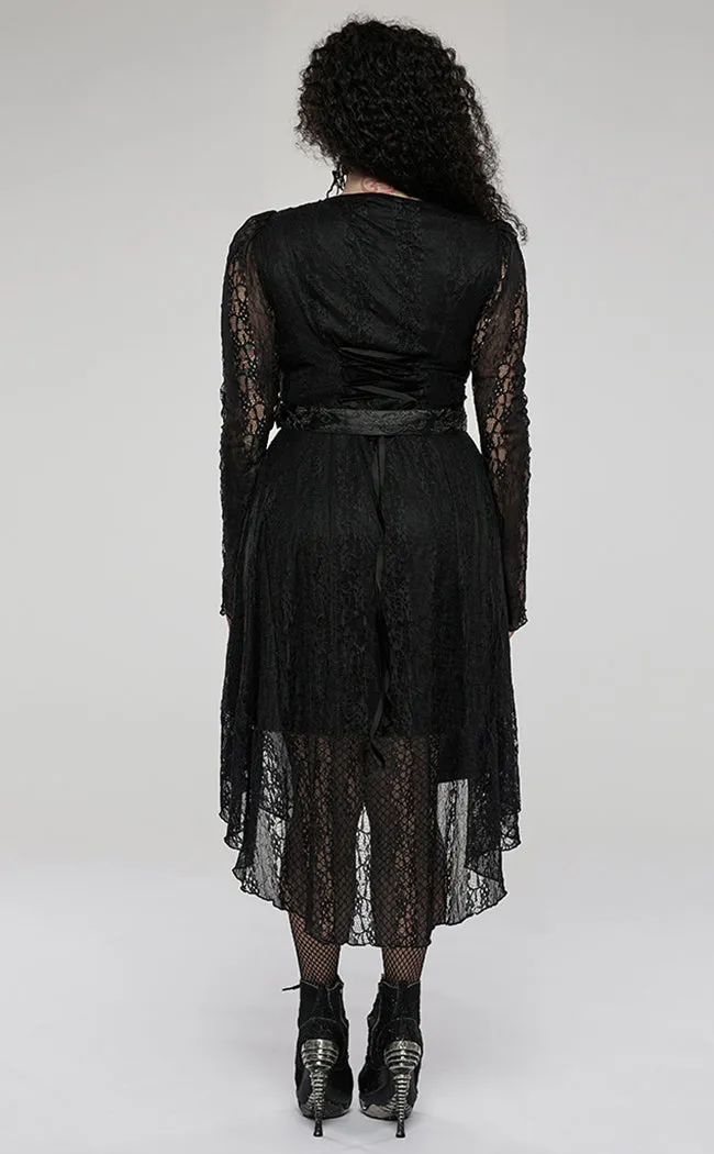 Druid Lace Dress | Plus Size