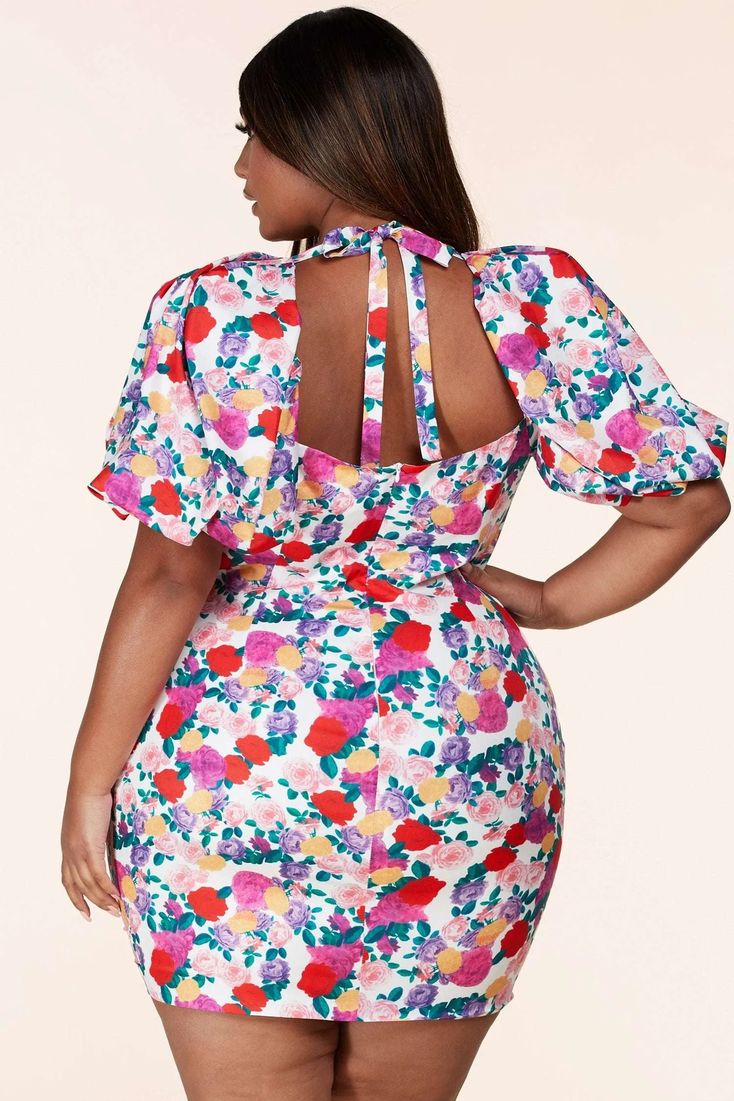 Fasheabe Rose Floral Print Plus Mini Dress