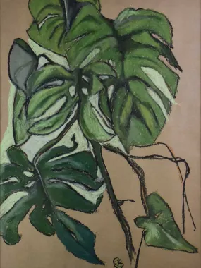 Monstera by Caroline Beauzon - gray 34¼" x 24½"