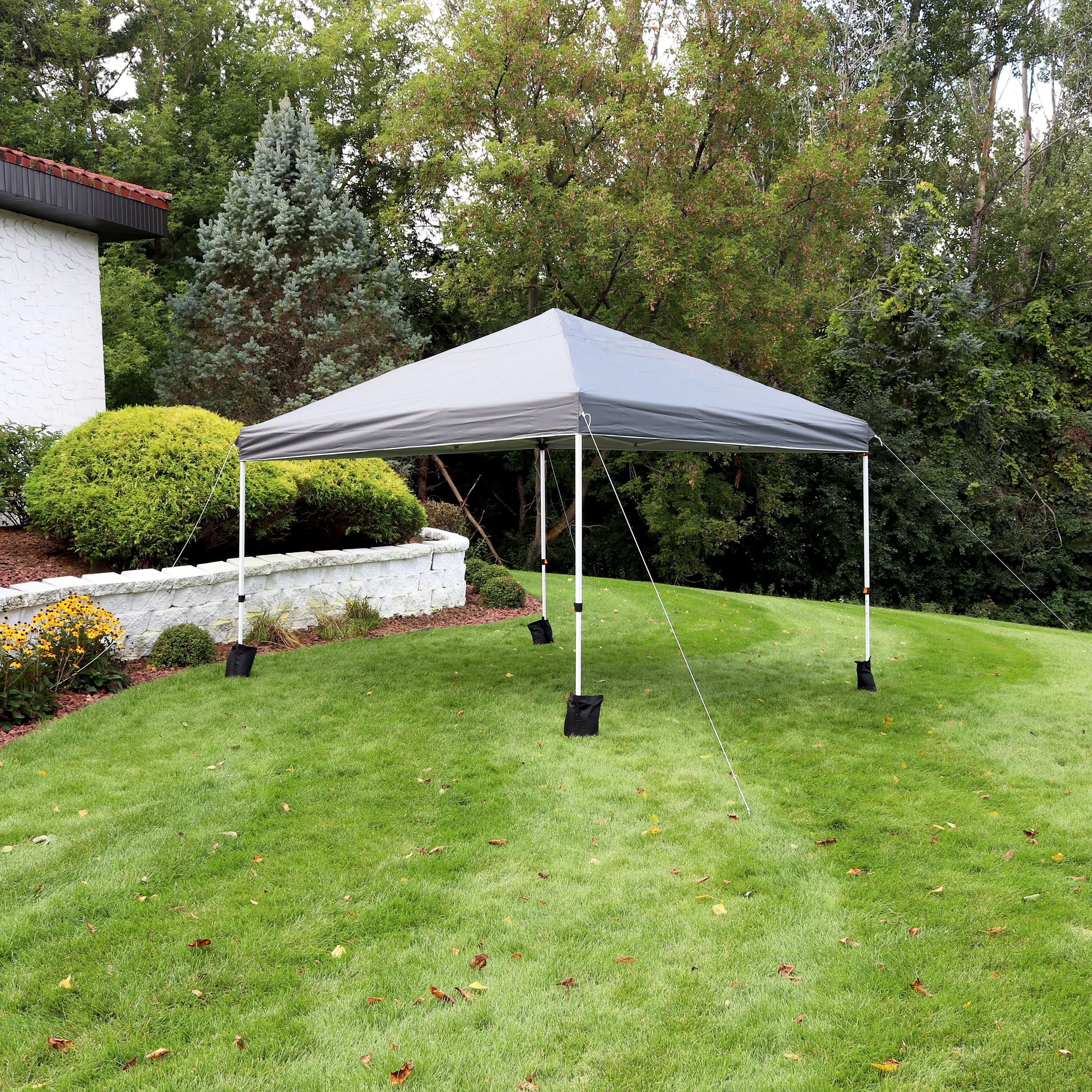 Sunnydaze Standard Pop-Up Canopy with Carry Bag and Sandbags