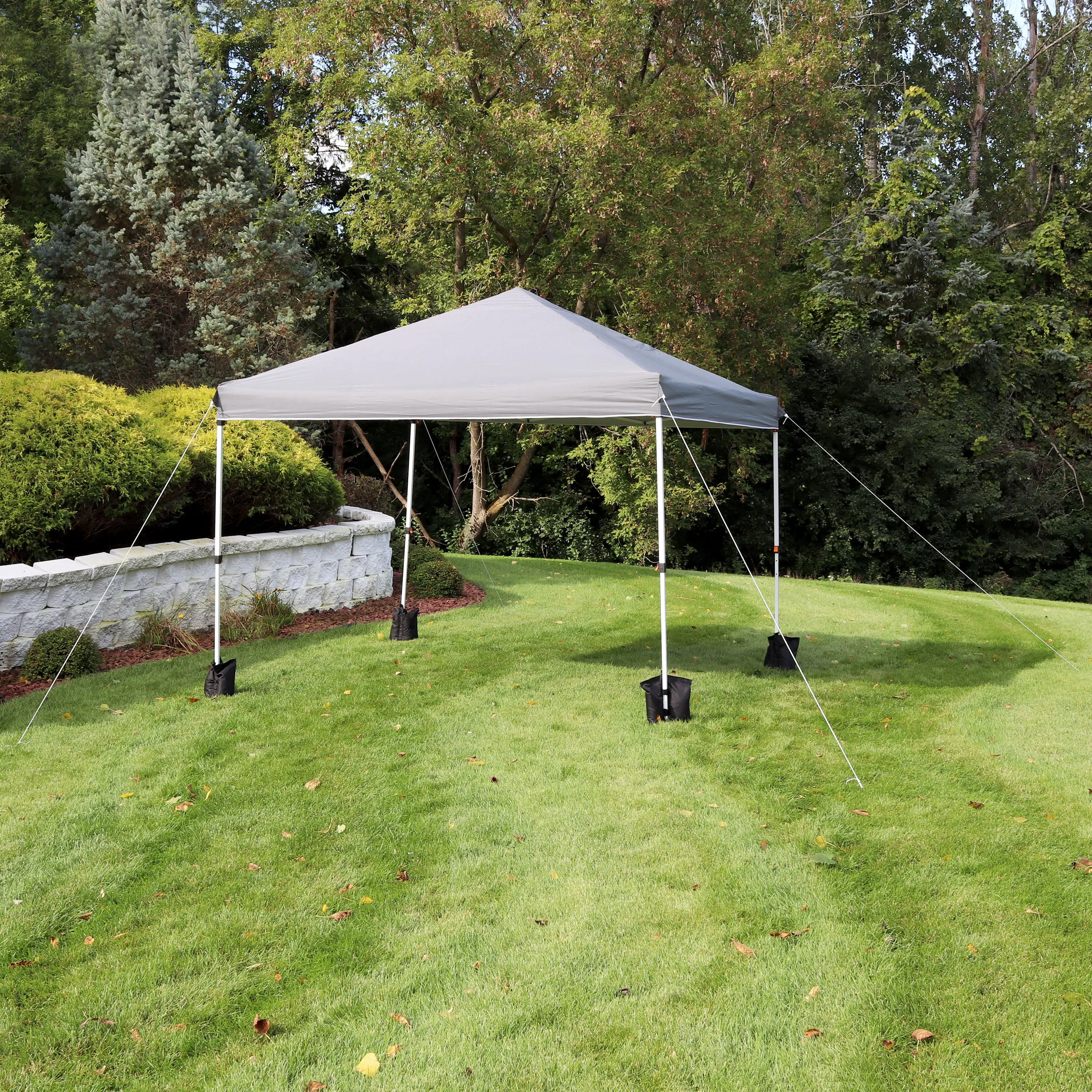 Sunnydaze Standard Pop-Up Canopy with Carry Bag and Sandbags