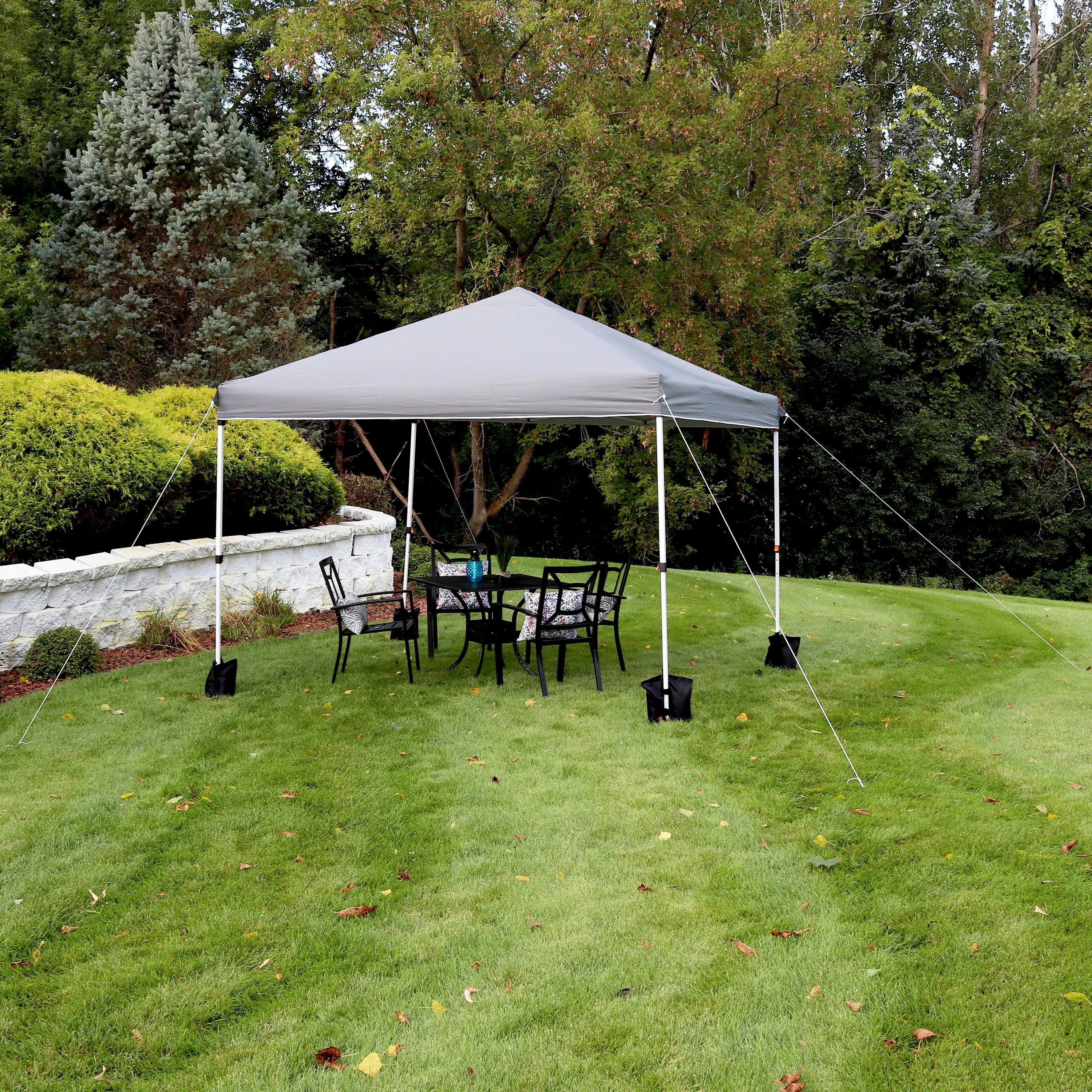 Sunnydaze Standard Pop-Up Canopy with Carry Bag and Sandbags