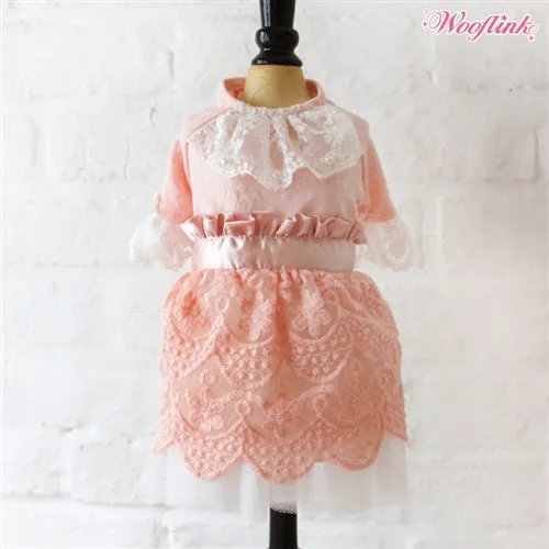 Wooflink Dreamy Afternoon Dress - Peach