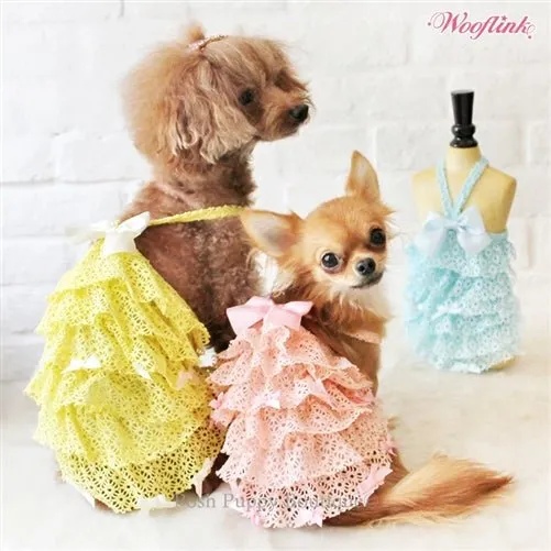 Wooflink SUGARLICIOUS Dress- Yellow